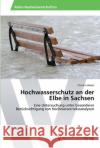 Hochwasserschutz an der Elbe in Sachsen Heber, Christin 9783639387834 AV Akademikerverlag