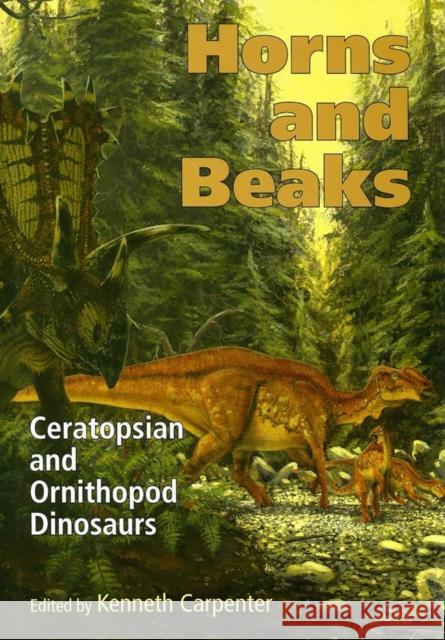 Horns and Beaks: Ceratopsian and Ornithopod Dinosaurs Carpenter, Kenneth 9780253348173 Indiana University Press - książka