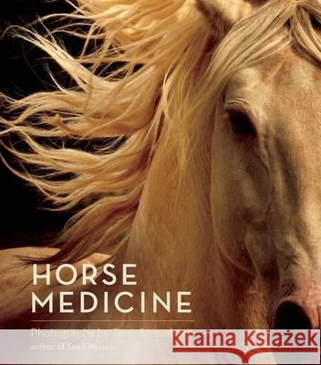 Horse Medicine Tony Stromberg 9781608683130 New World Library - książka