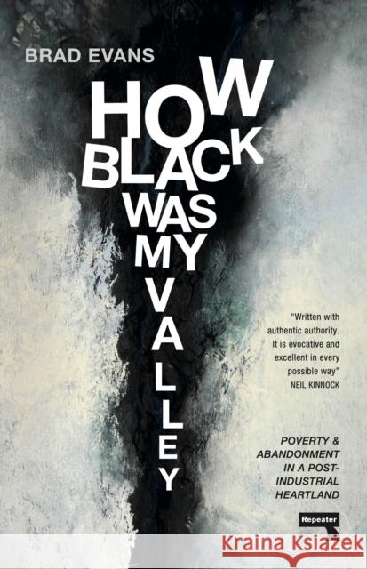 How Black Was My Valley: Poverty and Abandonment in a Post-Industrial Heartland Brad Evans 9781913462840 Watkins Media Limited - książka