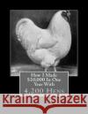 How I Made $10,000 In One Year With 4200 Hens (1919) Chambers, Jackson 9781548236182 Createspace Independent Publishing Platform