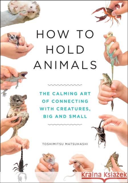How to Hold Animals Toshimitsu Matsuhashi 9781529404531 Quercus Publishing - książka