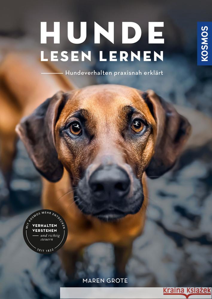 Hunde lesen lernen Grote, Maren 9783440175583 Kosmos (Franckh-Kosmos) - książka