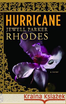 Hurricane (Original) Rhodes, Jewell Parker 9781416537120 Washington Square Press - książka