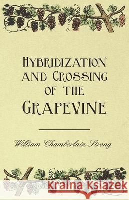 Hybridization and Crossing of the Grapevine William Chamberlain Strong Andrew S. Fuller 9781446534328 Duff Press - książka