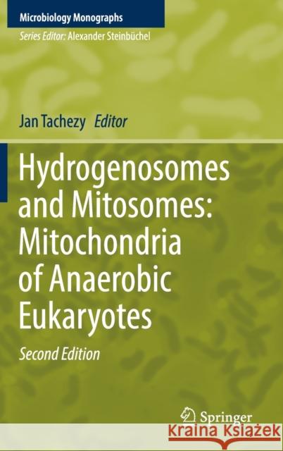 Hydrogenosomes and Mitosomes: Mitochondria of Anaerobic Eukaryotes Jan Tachezy 9783030179403 Springer - książka
