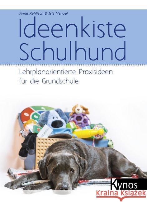 Ideenkiste Schulhund : Lehrplanorientierte Praxisideen für die Grundschule Kahlisch, Anne; Mengel, Isis 9783954641369 Kynos - książka
