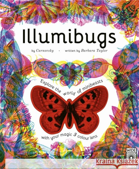 Illumibugs: Explore the world of mini beasts with your magic 3 colour lens Barbara Taylor 9780711275119 Wide Eyed Editions - książka
