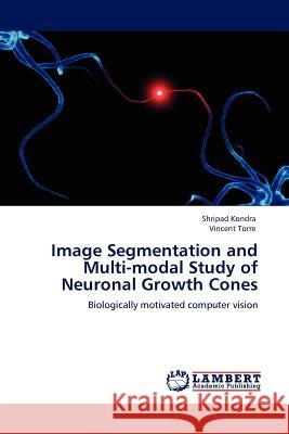 Image Segmentation and Multi-modal Study of Neuronal Growth Cones Shripad Kondra, Vincent Torre 9783845411958 LAP Lambert Academic Publishing - książka