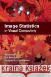 Image Statistics in Visual Computing Tania Pouli 9781568817255 0