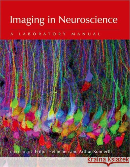 Imaging in Neuroscience: A Laboratory Manual Helmchen, Fritjof 9780879699383 Cold Spring Harbor Laboratory Press - książka