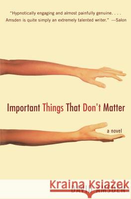 Important Things That Don't Matter David Amsden 9780060513894 Harper Perennial - książka