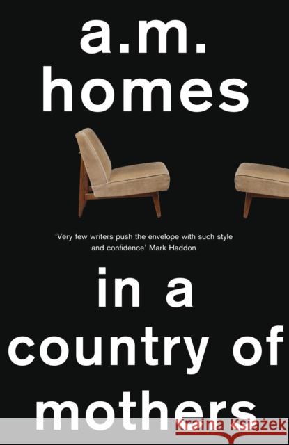 In a Country Of Mothers A.M. (Y) Homes 9781847087270  - książka