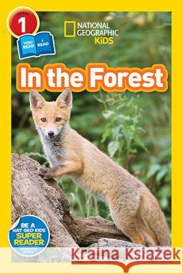 In the Forest National Geographic Kids 9781426326219 National Geographic Society - książka