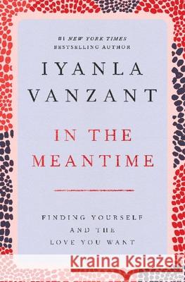 In the Meantime: Finding Yourself and the Love You Want Iyanla Vanzant 9780684848068 Fireside Books - książka