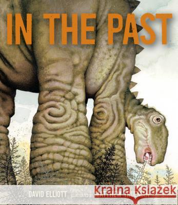 In the Past: From Trilobites to Dinosaurs to Mammoths in More Than 500 Million Years David Elliott Matthew Trueman 9780763660734 Candlewick Press (MA) - książka