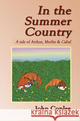 In the Summer Country John Conlee 9781939917157 Pale Horse Books - książka