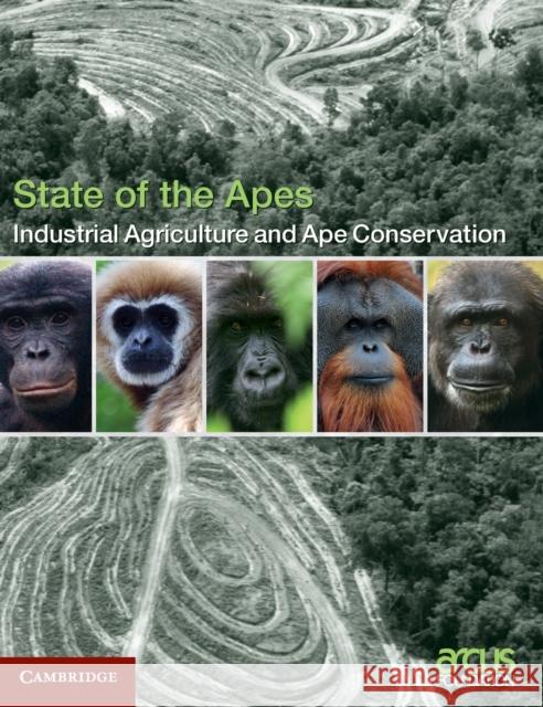 Industrial Agriculture and Ape Conservation Arcus Foundation Alison White Annette Lanjouw 9781107139688 Cambridge University Press - książka