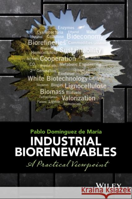 Industrial Biorenewables: A Practical Viewpoint Domínguez de María, Pablo 9781118843727 John Wiley & Sons - książka