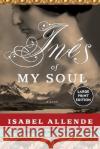 Ines of My Soul Isabel Allende Margaret Sayers Peden 9780061161575 HarperLargePrint