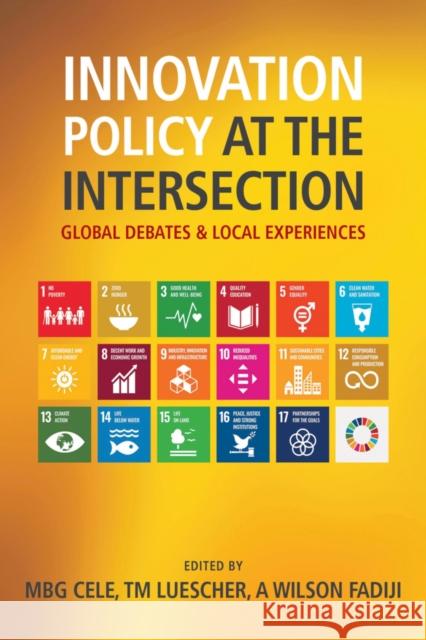 Innovation Policy at the Intersection Angela Wilson Fadiji 9780796925916 HSRC Press - książka