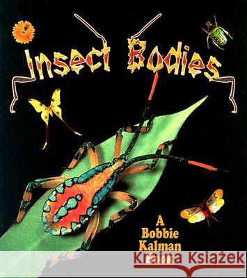 Insect Bodies Molly Aloian Bobbie Kalman 9780778723745 Crabtree Publishing Company - książka