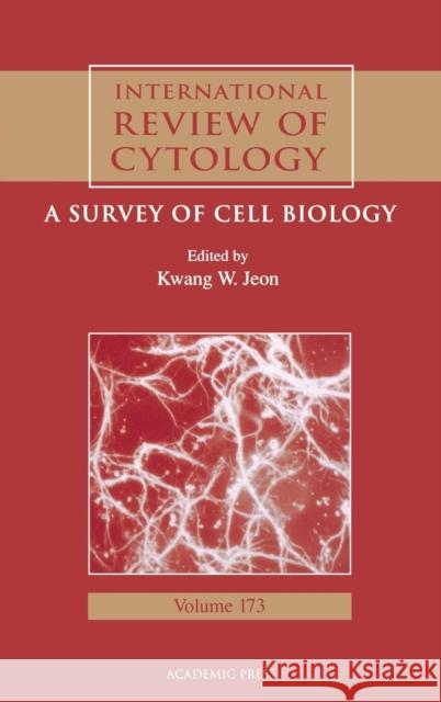International Review of Cytology: A Survey of Cell Biology Volume 173 Jeon, Kwang W. 9780123645777 Academic Press - książka