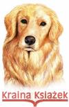 Internet Password Organizer: Golden Retriever Dog (Password Log Book) Peter Paker P 9781073481248 Independently Published