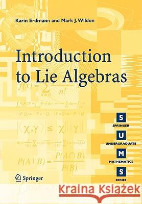 Introduction to Lie Algebras Karin Erdmann Mark J. Wildon 9781846280405 Springer - książka