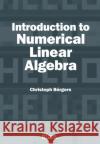 Introduction to Numerical Linear Algebra Christoph Borgers 9781611976915 Society for Industrial & Applied Mathematics,