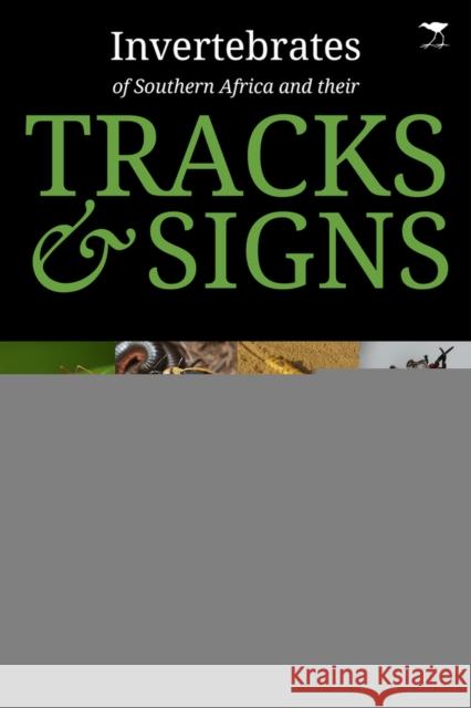 Invertebrates of Southern Africa & Their Tracks and Signs GUTTERIDGE, LEE 9781431421572  - książka