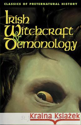 Irish Witchcraft & Demonology John D. Seymour 9781590210086 Lethe Press - książka