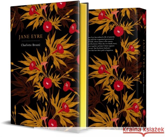 Jane Eyre: Chiltern Edition Charlotte Bronte 9781912714018 Chiltern Publishing - książka
