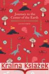 Journey to the Center of the Earth Jules Verne 9781788880794 Arcturus Publishing Ltd