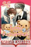 Junjo Romantica 25 Nakamura, Shungiku 9783551760074 Carlsen Manga