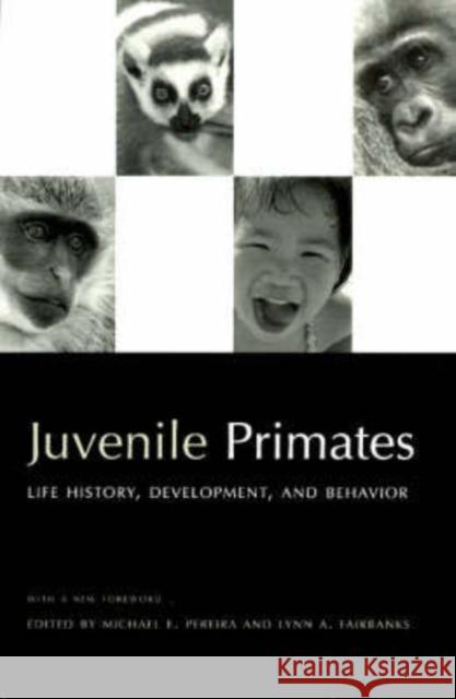 Juvenile Primates: Life History, Development, and Behavior Michael E. Pereira Lynn A. Fairbanks T. E. Rowell 9780226656229 University of Chicago Press - książka