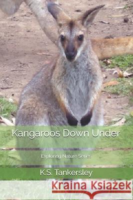 Kangaroos Down Under K. S. Tankersley 9781499504354 Createspace - książka