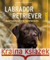 Labrador Retriever : Sportskanone mit Familiensinn Schlegl-Kofler, Katharina 9783833852190 Gräfe & Unzer