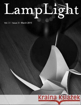 LampLight - Volume 3 Issue 3 Walters, Damien Angelica 9781511430203 Createspace - książka