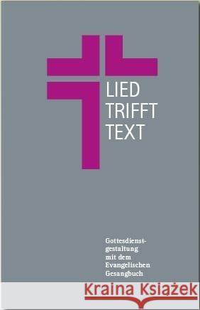 Lied trifft Text Packeiser, Dörte Maria; Egerer, Ernst-Dietrich; Holm, Thomas 9783931895419 Evangelisches Medienhaus - książka