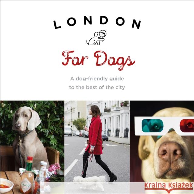 London for Dogs: A Dog-Friendly Guide to the Best of the City Sarah Guy 9781785035111 Ebury Press - książka