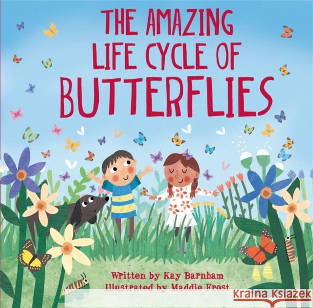 Look and Wonder: The Amazing Life Cycle of Butterflies Kay Barnham 9780750299565 Hachette Children's Group - książka