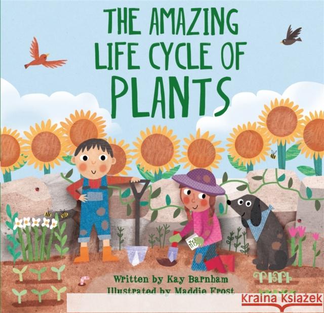 Look and Wonder: The Amazing Plant Life Cycle Story Kay Barnham 9780750299589 Hachette Children's Group - książka