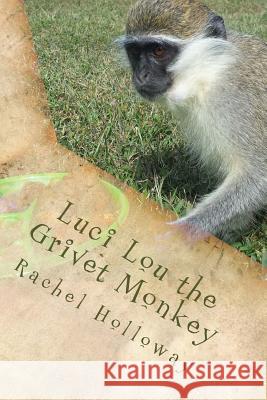 Luci Lou the Grivet Monkey Rachel Holloway 9781492826057 Createspace - książka