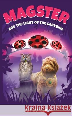 Magster and the Light of the Ladybird Kit Butler 9781800421820 Silverwood Books - książka