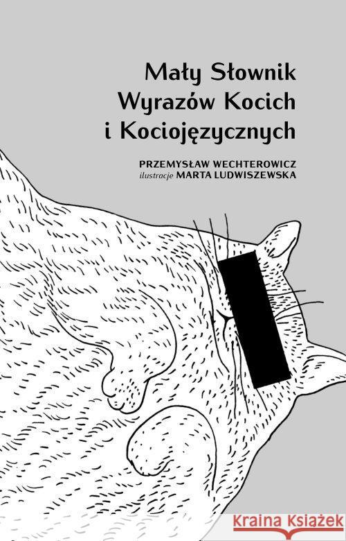Mały słownik wyrazów kocich i kociojęzycznych Wechterowicz Przemysław 9788372789433 Media Rodzina - książka