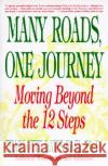 Many Roads One Journey: Moving Beyond the Twelve Steps Charlotte Davis Kasl 9780060965181 HarperCollins Publishers