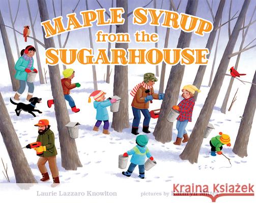 Maple Syrup from the Sugarhouse Laurie Lazzaro Knowlton Kathryn Mitter 9780807579435 Albert Whitman & Company - książka