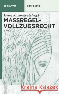 Maregelvollzugsrecht: Kommentar Heinz Kammeier 9783899490497 de Gruyter-Recht - książka