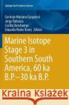 Marine Isotope Stage 3 in Southern South America, 60 Ka B.P.-30 Ka B.P. Gasparini, Germán Mariano 9783319820118 Springer